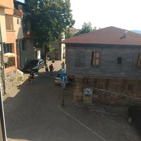 בית אירוח House Georgievi